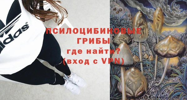 МДПВ Богданович