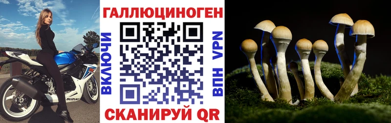 kraken   Болотное  Галлюциногенные грибы MAGIC MUSHROOMS 