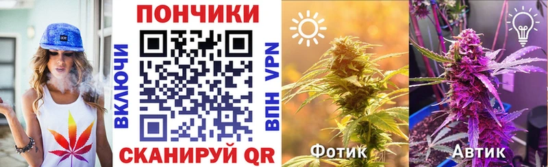 блэк спрут ONION Болотное площадка какой сайт Бошки марихуана SATIVA & INDICA